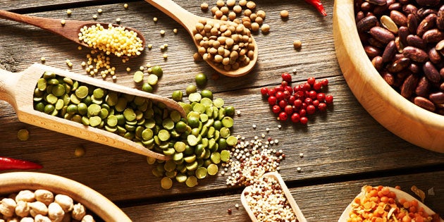 Legumes-for-Protein None