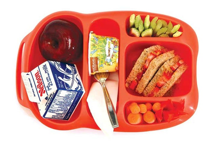 Energy Sandwich Energy-Sparking Sandwich