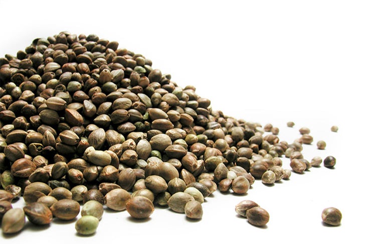 Hempseeds Lemon Hemparoons