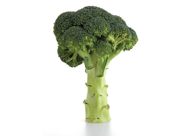 Image placeholder title None