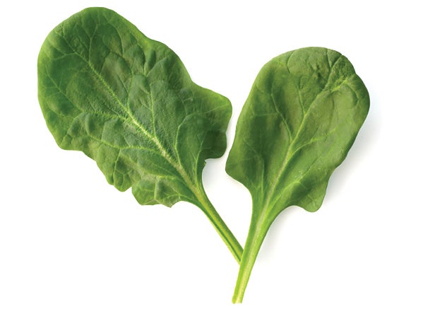 Image placeholder title None