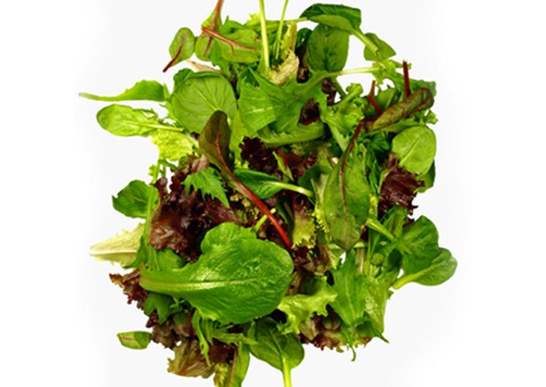 Image placeholder title None