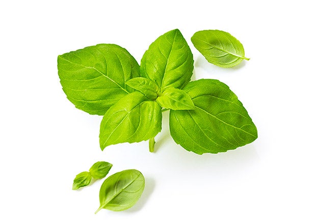 Image placeholder title None