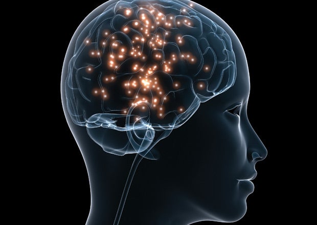 sugar-brain_620x440 None