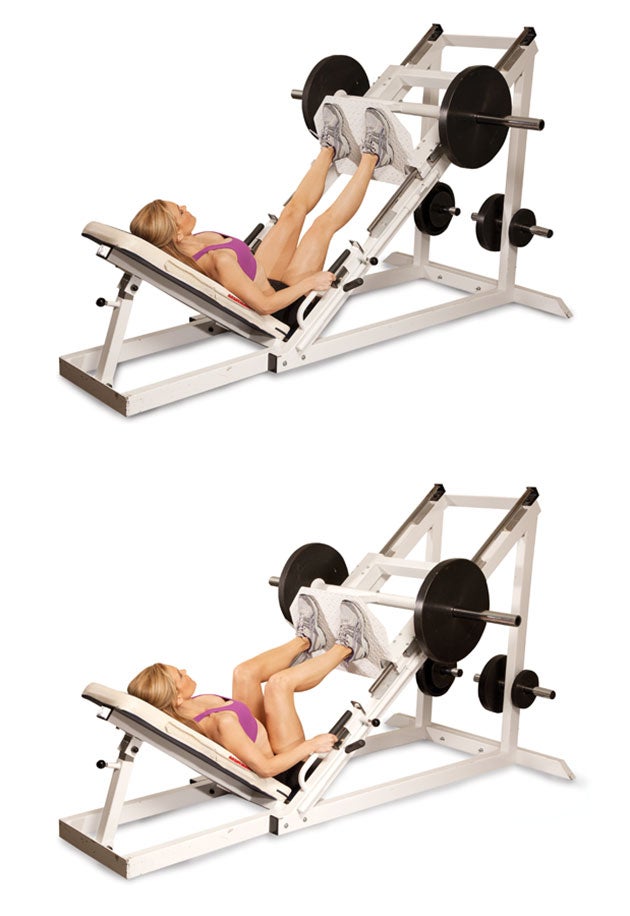45-Degree-Leg-Press None