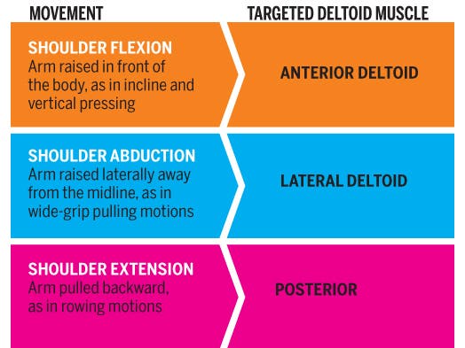 Complete plan for sexy shoulders in 5 moves