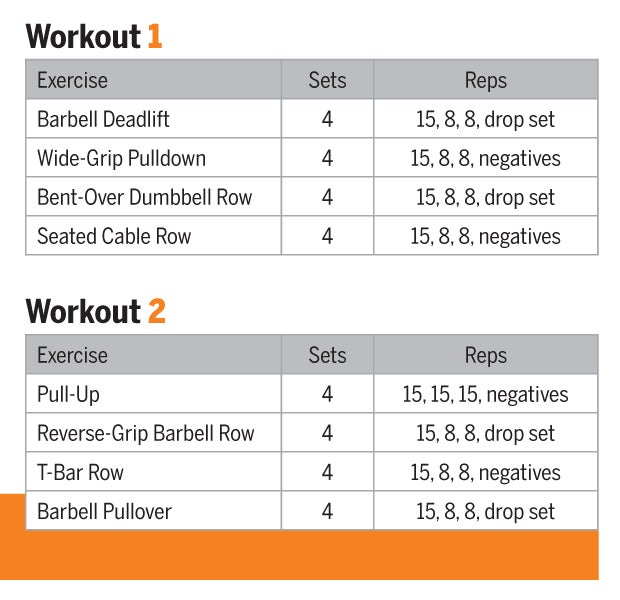 The Top-to-Bottom Back Workout