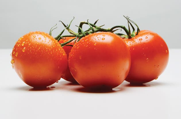 Lean Mean Tomatoes None