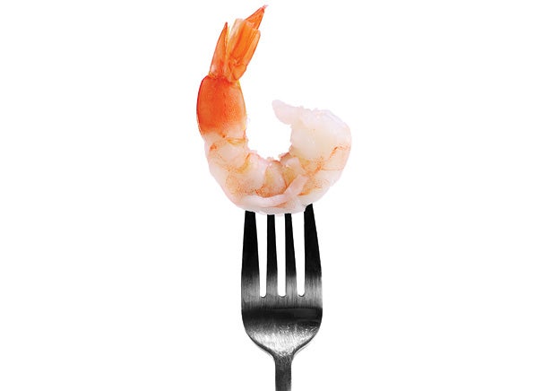 Image placeholder title None