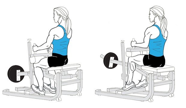 Seated Calf Raise None