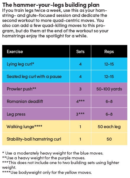 Hammer-Your-Legs None
