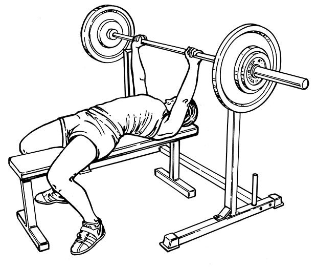 bench-press None