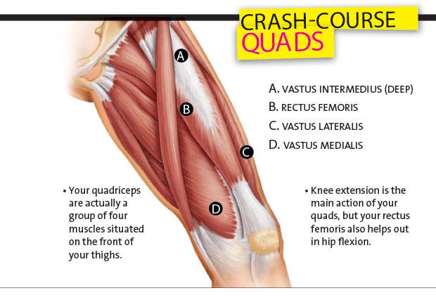Quad-Crash-Course None
