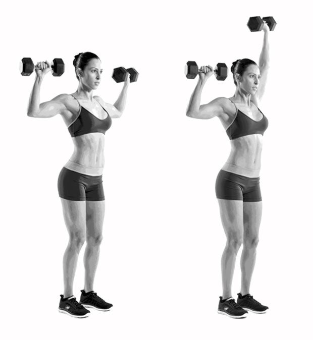 Shoulder-Press None
