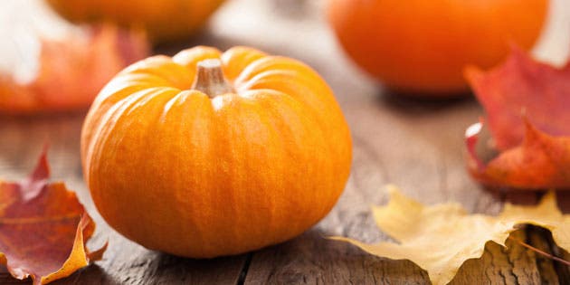 Image placeholder title None