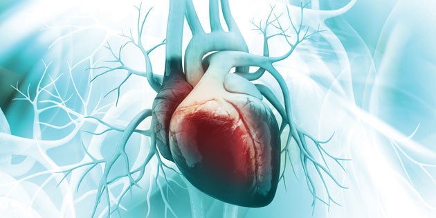 Heart-Facts None