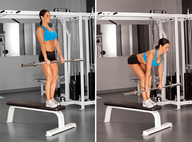 Stiff-Legged-Deadlift-Off-Bench None