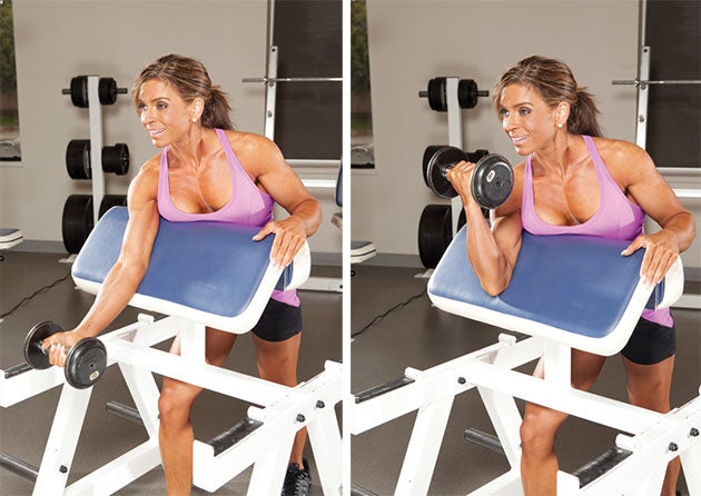 Dumbbell-Curl-at-Preacher-Bench None