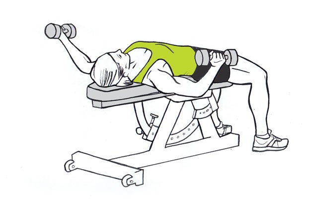 Flat-bench-Flye None
