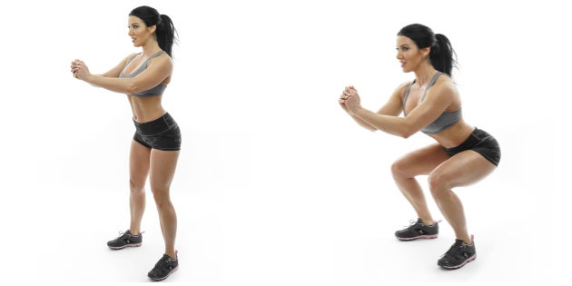 body squats None