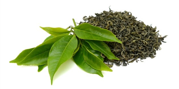 green tea muscle and performance None
