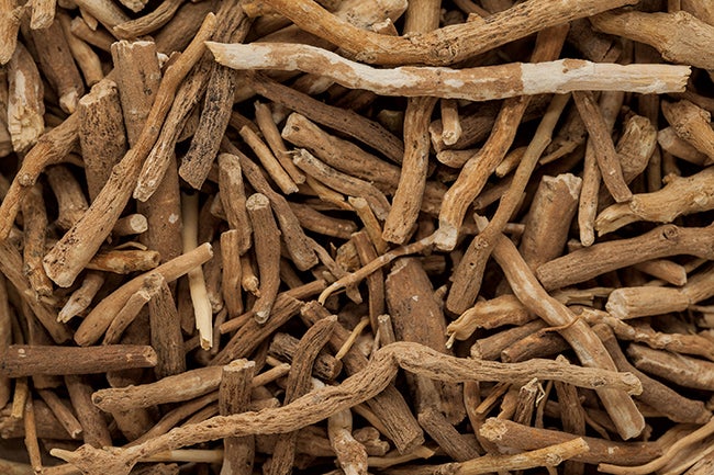 Roots-Muscle-and-Performance None