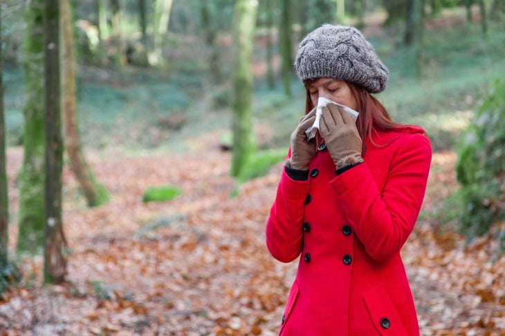 fall allergies None