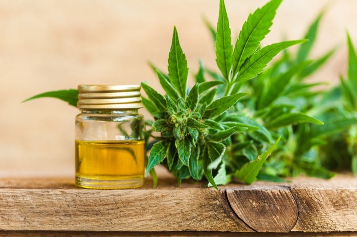 cbd oil cbd oil