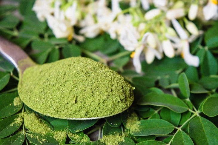 moringa moringa