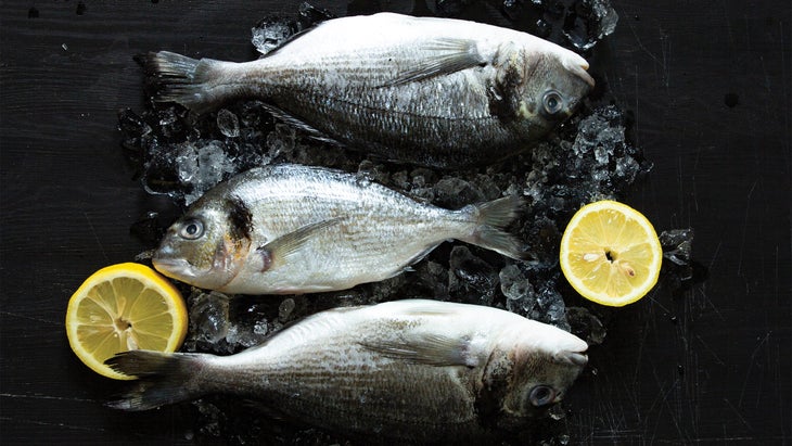 Fish