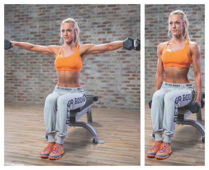 seated lateral raise None