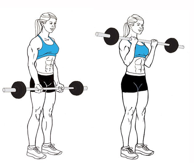 Barbell-Curl None