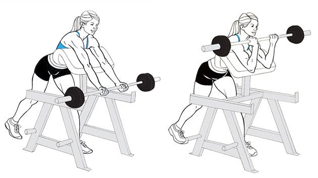 Preacher-Bench-Barbell-Curl None