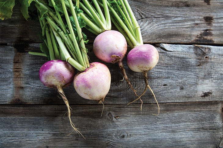 Turnips Turnips