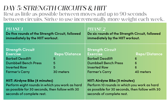 Screen Shot 2017-04-03 at 1.59.15 PM Day 5 workouts for 8-week total body program
