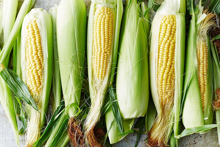 Corn Organic corn
