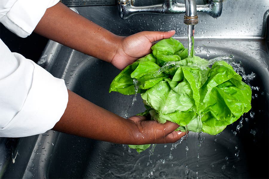 Washing Food Woman washing her lettuce under water