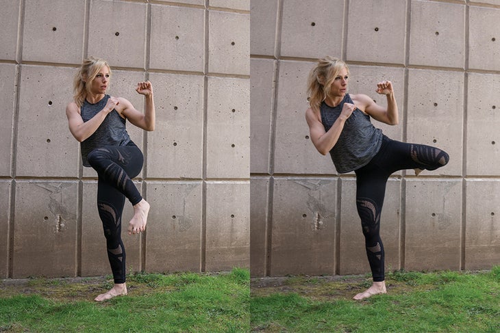 Turning Kick - Article 1 Turning Kick Strength Excercise
