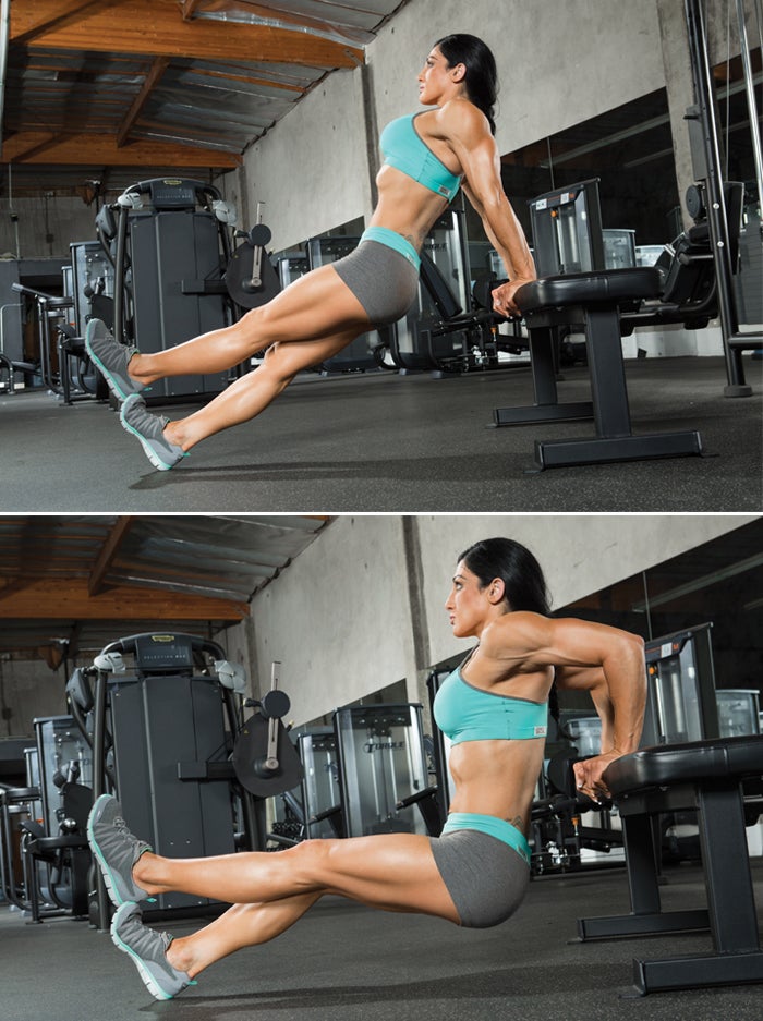 Triceps Bench Dip None