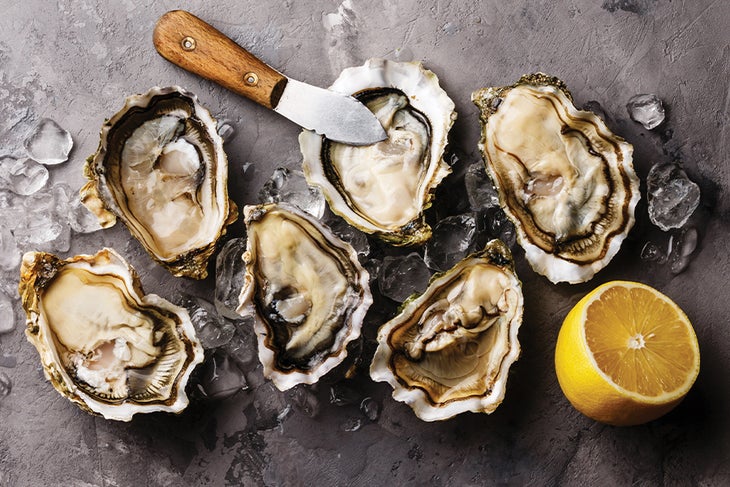 Oysters Oysters
