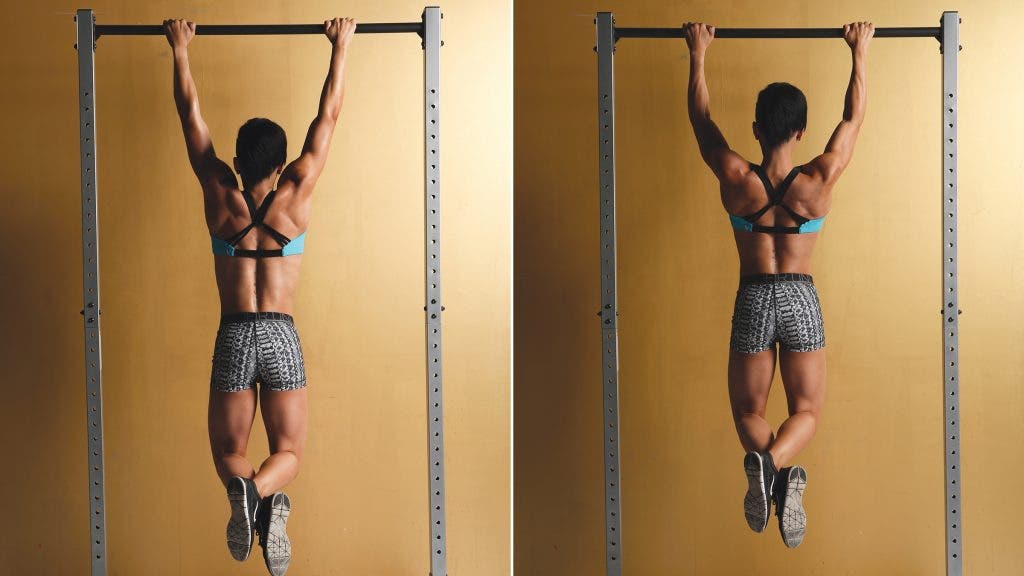 Scapular Pull-Up