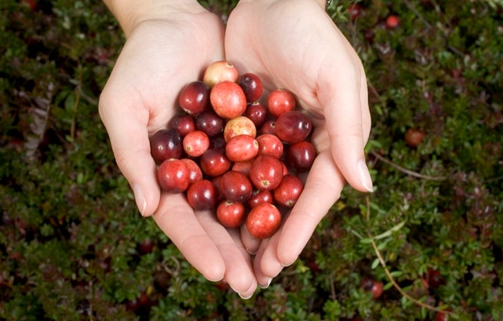 Cranberry Craze Protein Shake