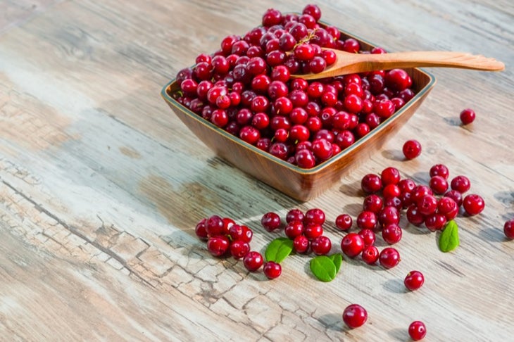 cranberry salad cranberry salad