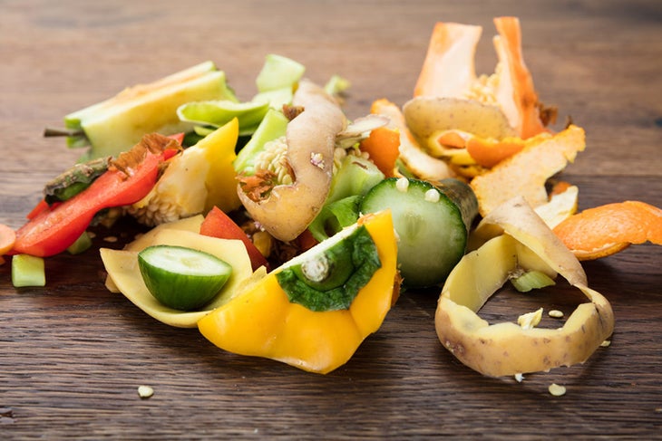 Food Scraps None