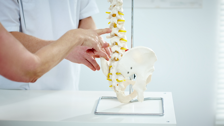 chiropractic 2