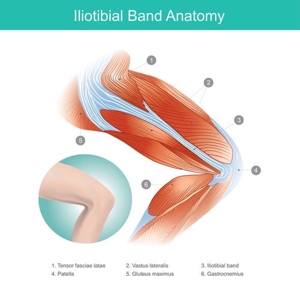 Iliotibial Band IT Band Diagram