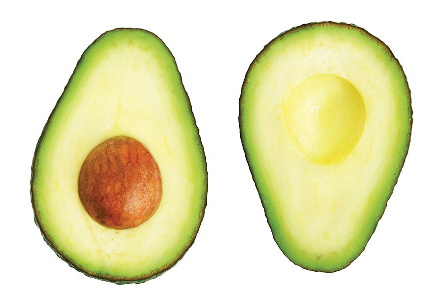 Avocado Halved avocado on white background